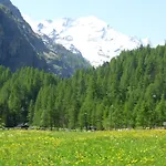 Le Vieux Rascard *