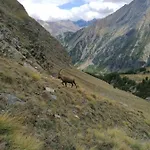 Apartamento Le Vieux Rascard Cogne
