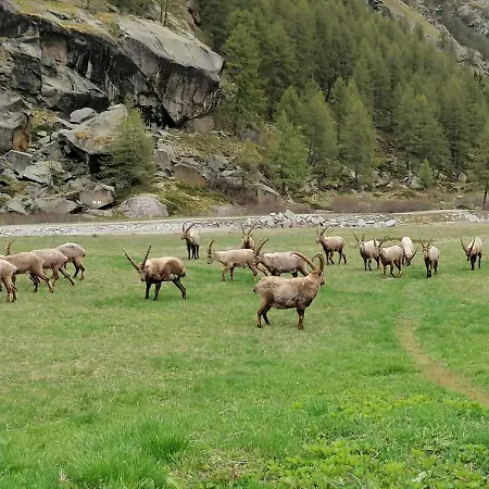 Le Vieux Rascard Daire