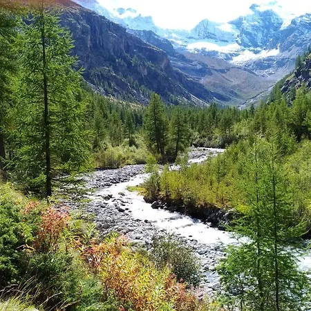Le Vieux Rascard Daire Cogne