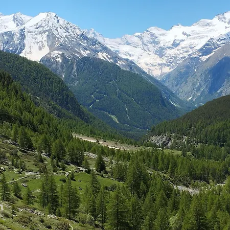 Le Vieux Rascard *